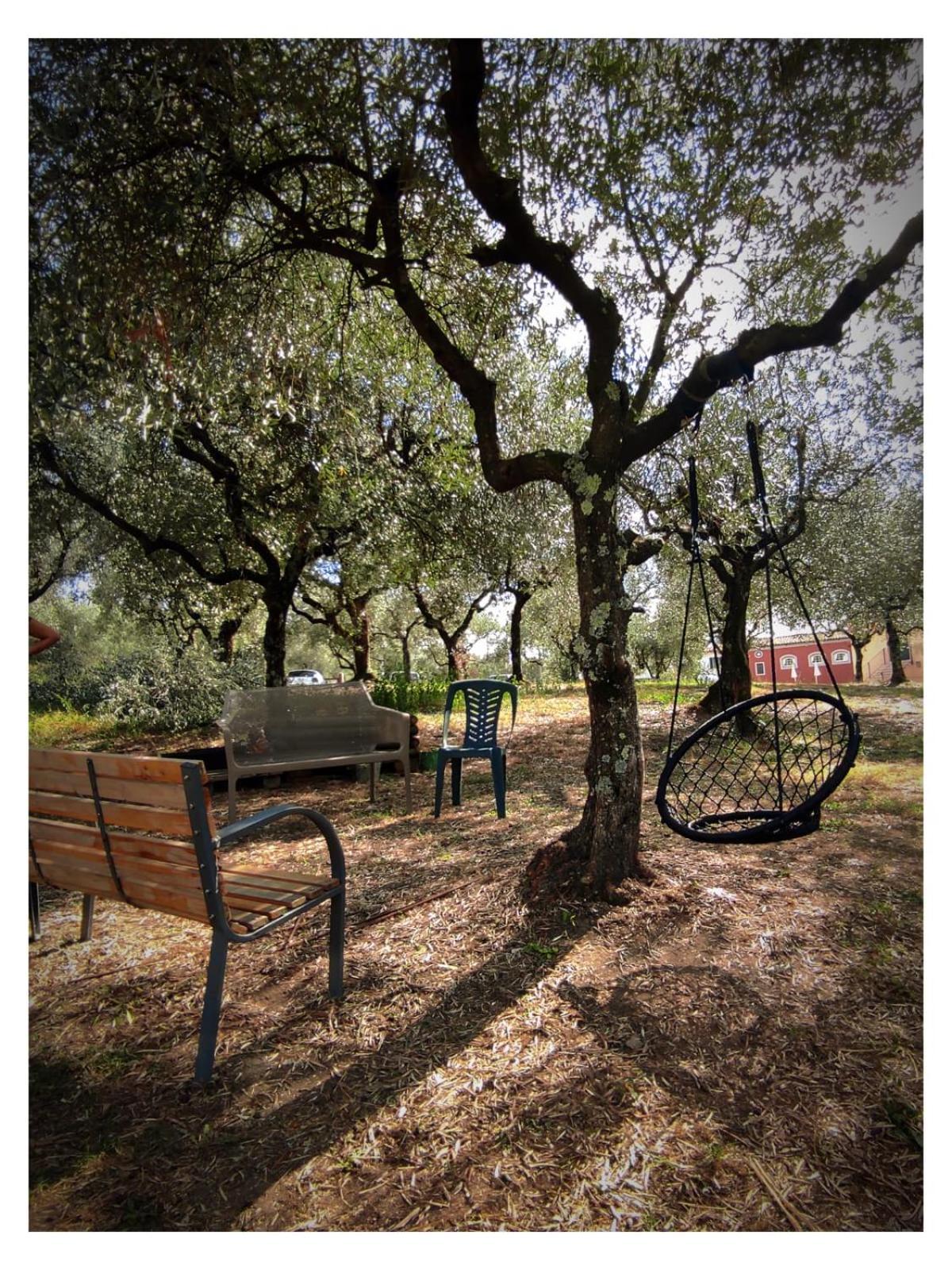 Villa Sardini Lucca Buitenkant foto