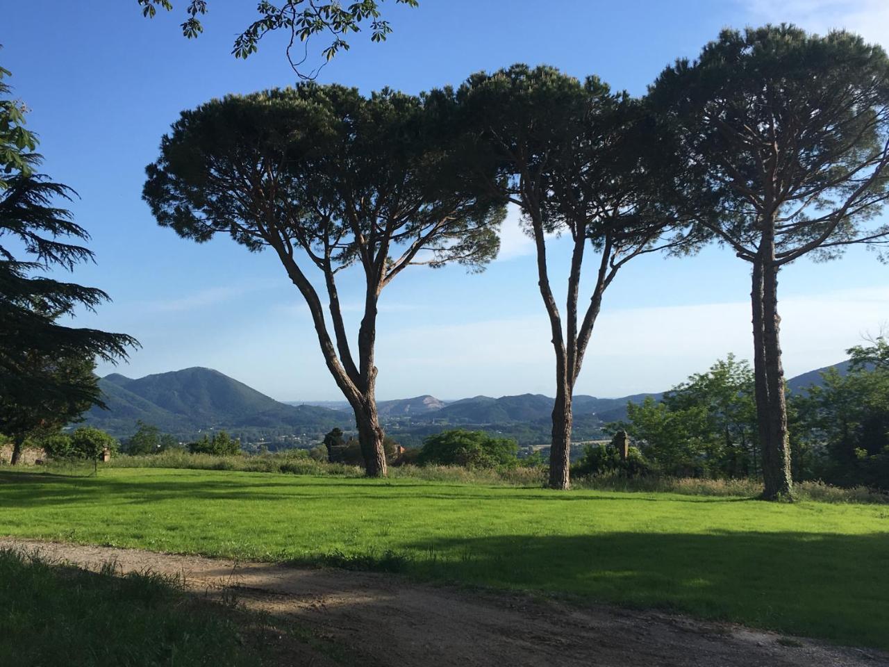 Villa Sardini Lucca Buitenkant foto